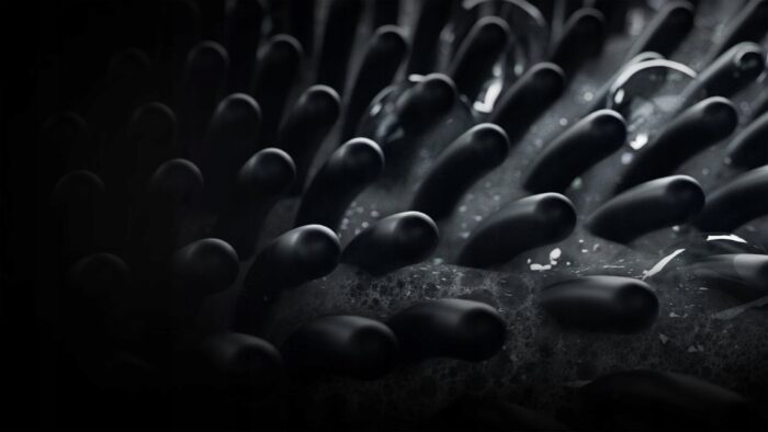 bffc60a607a87d4d3c38d556ced9b2b8