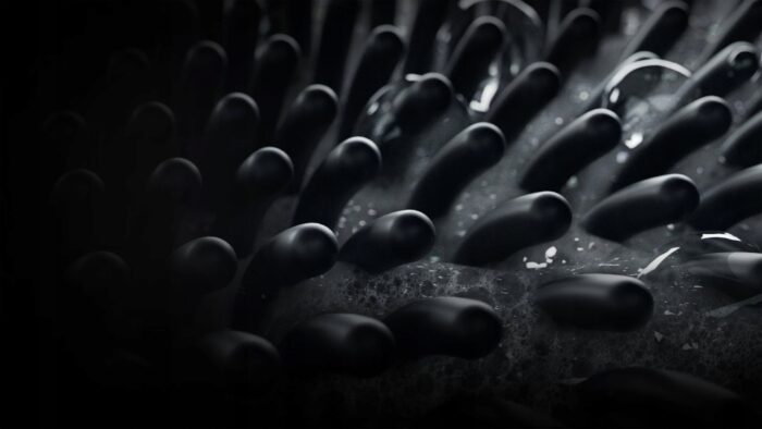 0121bb73dc2aefb84a1ffc00d46fad5c